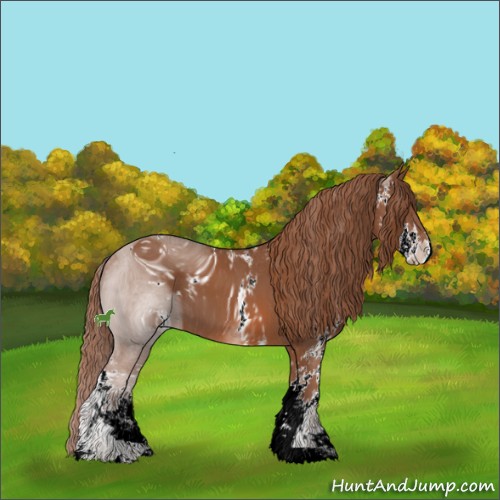 Horse Color:ERROR: UNKNOWN ANOMALY