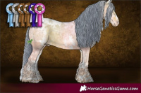 Horse Color:Watercolor White Spotted Bay Ice Dun 