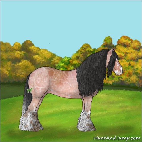 Horse Color:Bay Ice Sabino Splash