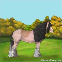 Horse Color:Bay Ice Sabino Splash