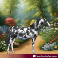 Horse Color:White Spotted Black 