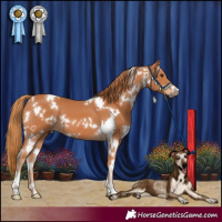 Horse Color:White Spotted Chestnut 