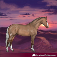 Horse Color:Silver Bay Dun