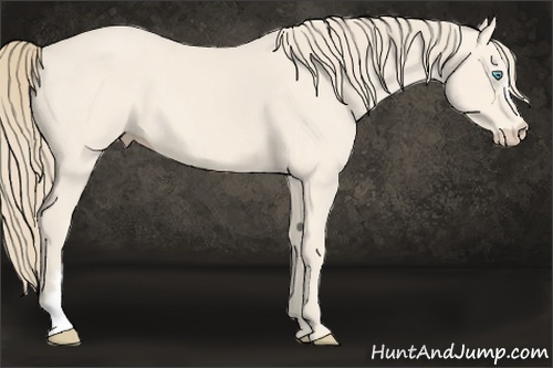Horse Color:Perlino 