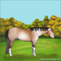 Horse Color:Gray Amber Champagne 