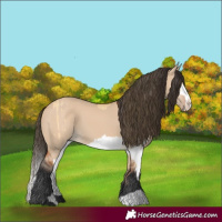 Horse Color:Buckskin Dun Sabino Splash  and Bay Dun Rabicano 