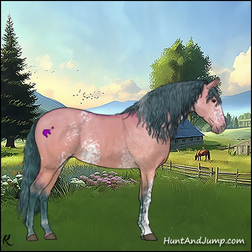 Horse Color:Watercolor White Spotted Brown Dun 