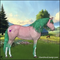 Horse Color:Watercolor Bay Dun 