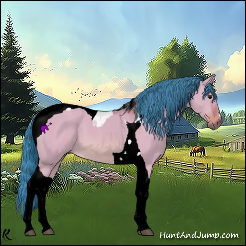 Horse Color:Watercolor Bay Dun Tobiano 