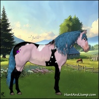 Horse Color:Watercolor Bay Dun Tobiano 