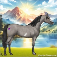 Horse Color:Grullo Roan Frame 