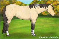 Horse Color:Buckskin Roan Tobiano 