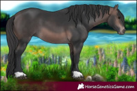 Horse Color:Platinum Bay