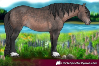 Horse Color:Platinum Bay 