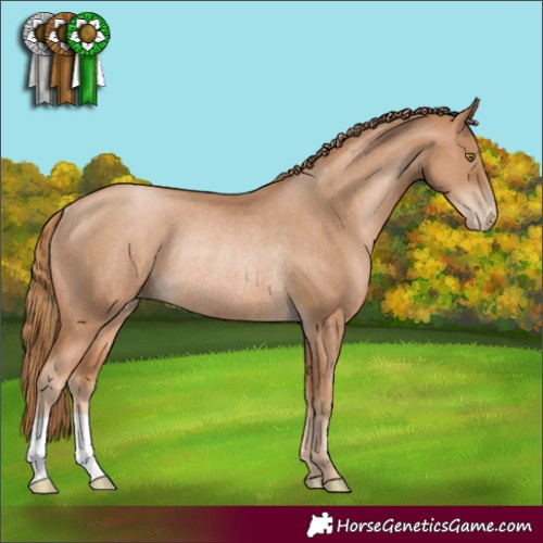 Horse Color:Chestnut Pearl Rabicano 