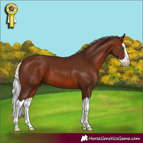Horse Color:Silver Brown Splash