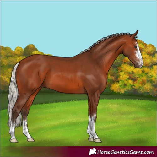 Horse Color:Silver Brown