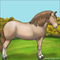 Horse Color:Chestnut Pearl 