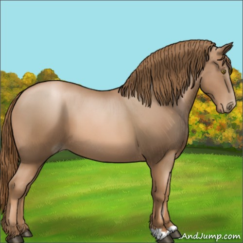 Horse Color:Liver Chestnut Pearl 