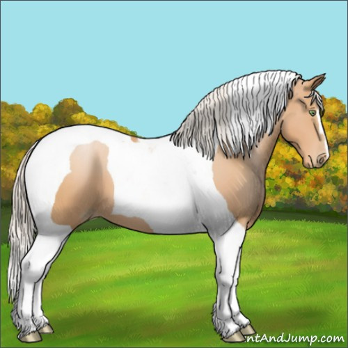 Horse Color:Silver Bay Pearl Tobiano