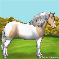 Horse Color:Silver Bay Pearl Tobiano 