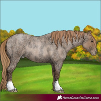 Horse Color:Blue Ice Roan Pearl 