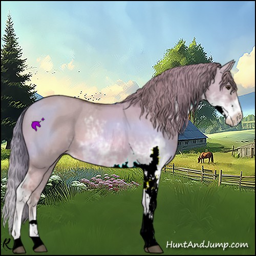 Horse Color:Watercolor Red Dun Sabino