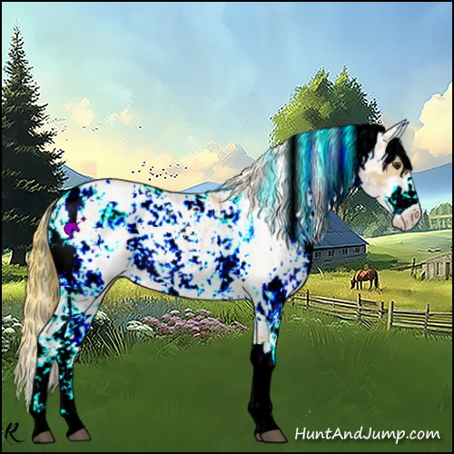 Horse Color:Watercolor Liver Red Dun Sabino 