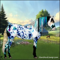 Horse Color:Watercolor Liver Red Dun Sabino 