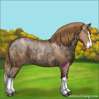 Horse Color:Bay Ice Roan Pearl Splash 