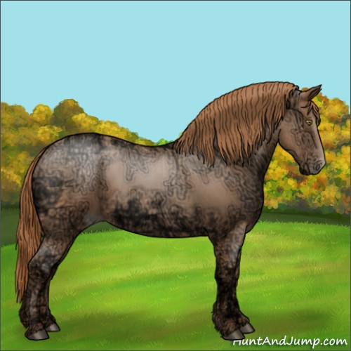 Horse Color:Brown Ice Roan Pearl 
