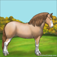 Horse Color:Bay Pearl Sabino 
