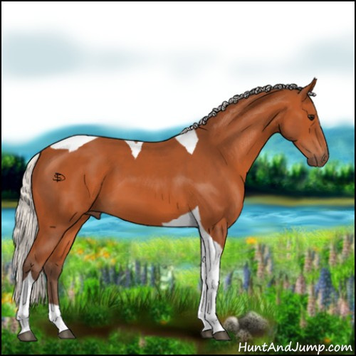 Horse Color:Silver Bay Tobiano 