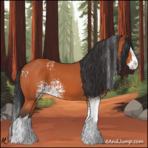 Horse Color:White Spotted Bay Splash 