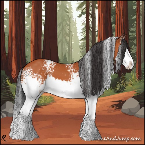 Horse Color:White Spotted Bay Splash 