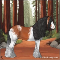 Horse Color:White Spotted Bay Splash 