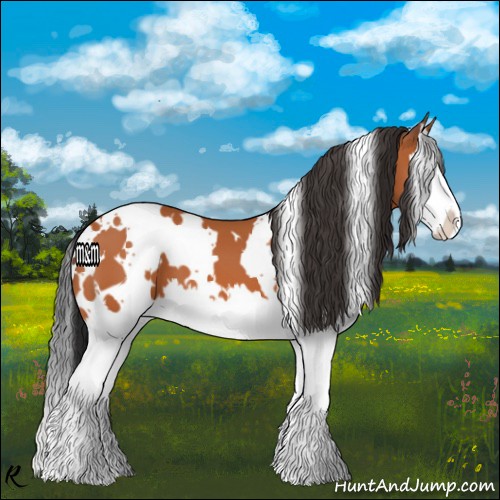 Horse Color:White Spotted Bay Splash 