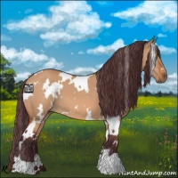 Horse Color:White Spotted Chocolate Brown Dun 