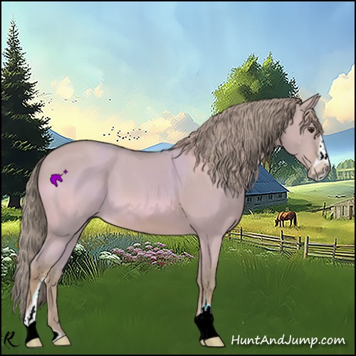 Horse Color:Watercolor Red Dun Sabino