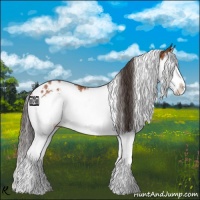 Horse Color:White Spotted Buckskin Splash 