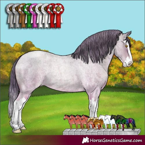 Horse Color:Bay Roan Pearl Splash 