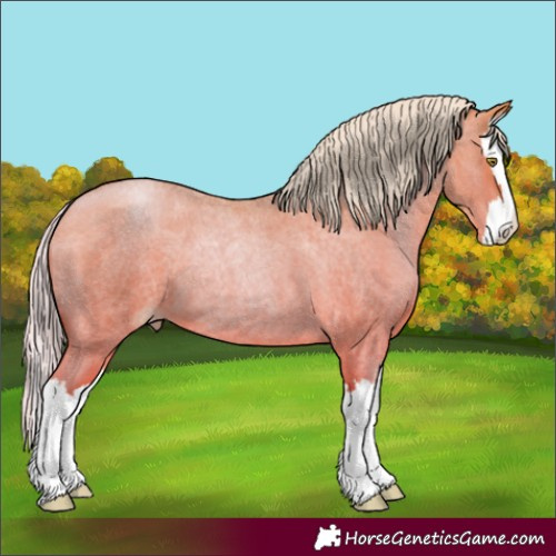 Horse Color:Silver Bay Roan Pearl Splash 