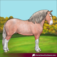Horse Color:Silver Bay Roan Pearl Splash 