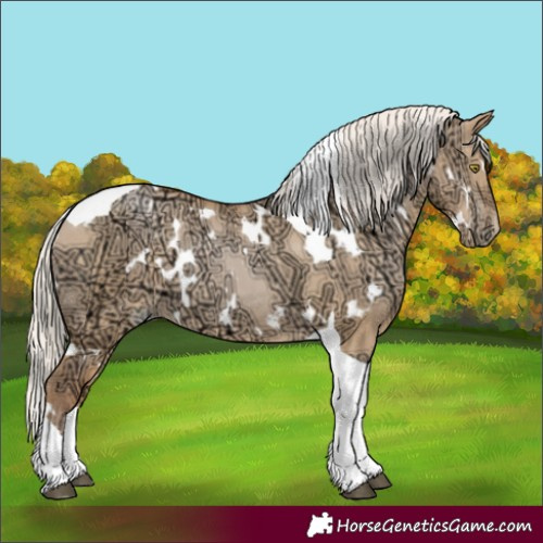 Horse Color:White Spotted Silver Bay Ice Pearl Dun Tobiano