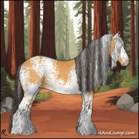 Horse Color:White Spotted Buckskin