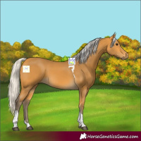 Horse Color:Silver Buckskin Tobiano 