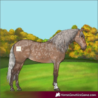 Horse Color:Silver Brown Ice Dun Tobiano 