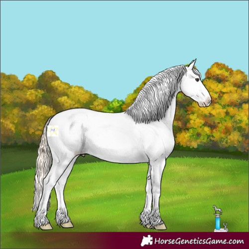 Horse Color:Palomino Tobiano Appaloosa Rabicano 