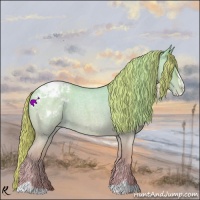Horse Color:Perlino Roan Dun Sabino Varnish 