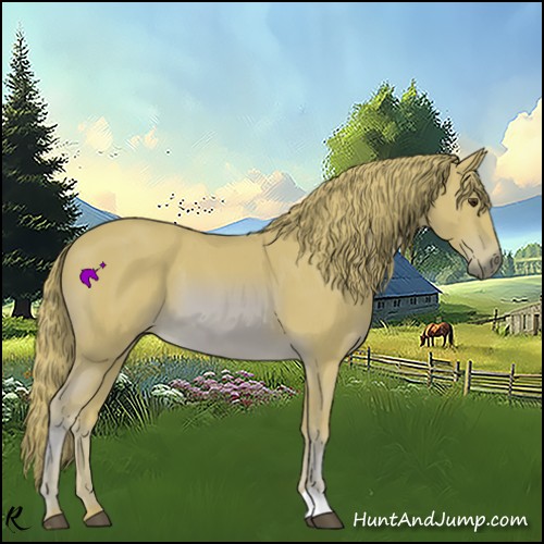 Horse Color:Watercolor Chestnut 
